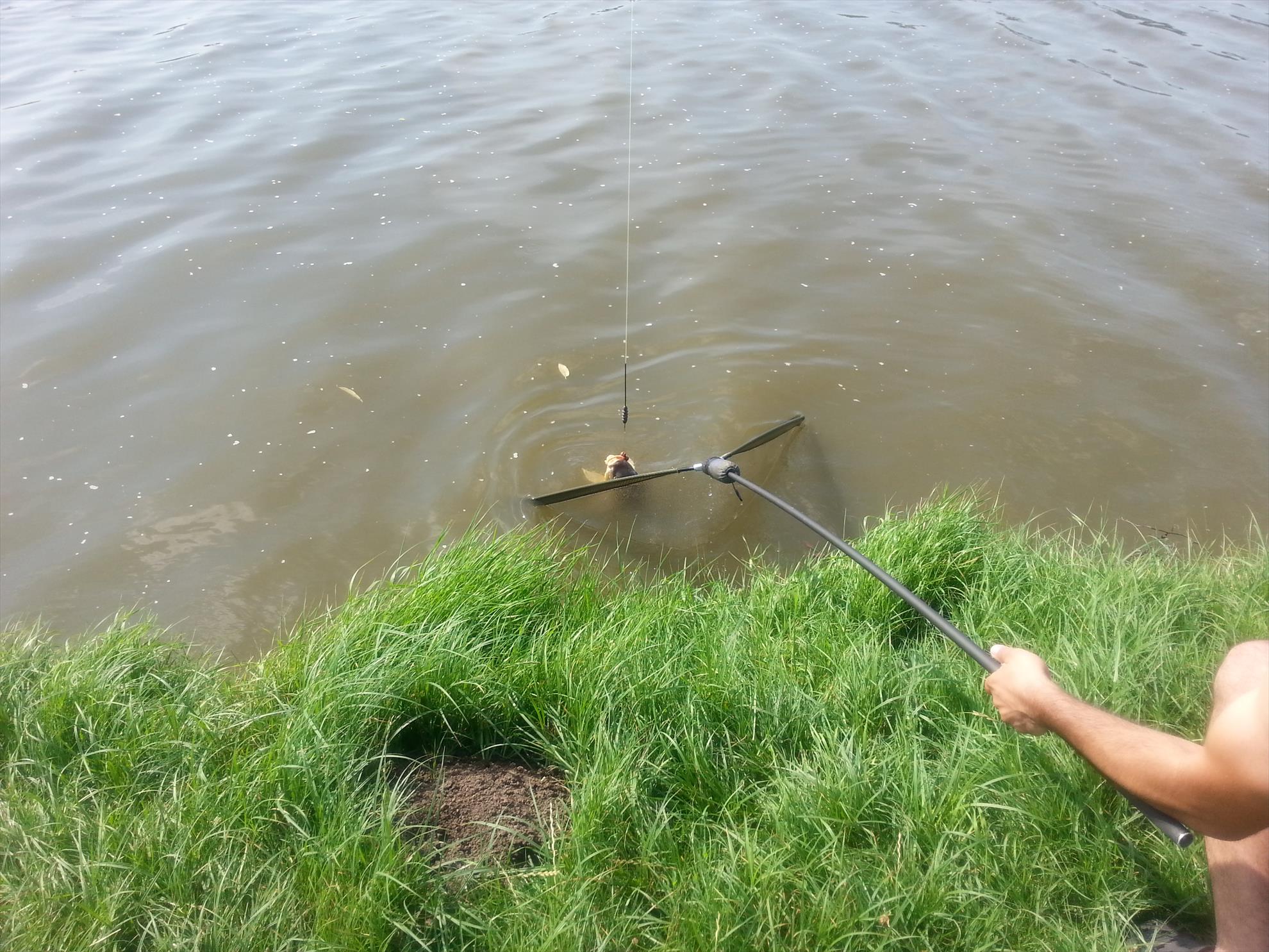 Moara Vlasiei 2 15 - 16 iulie 2014 - 20140716094120.jpg